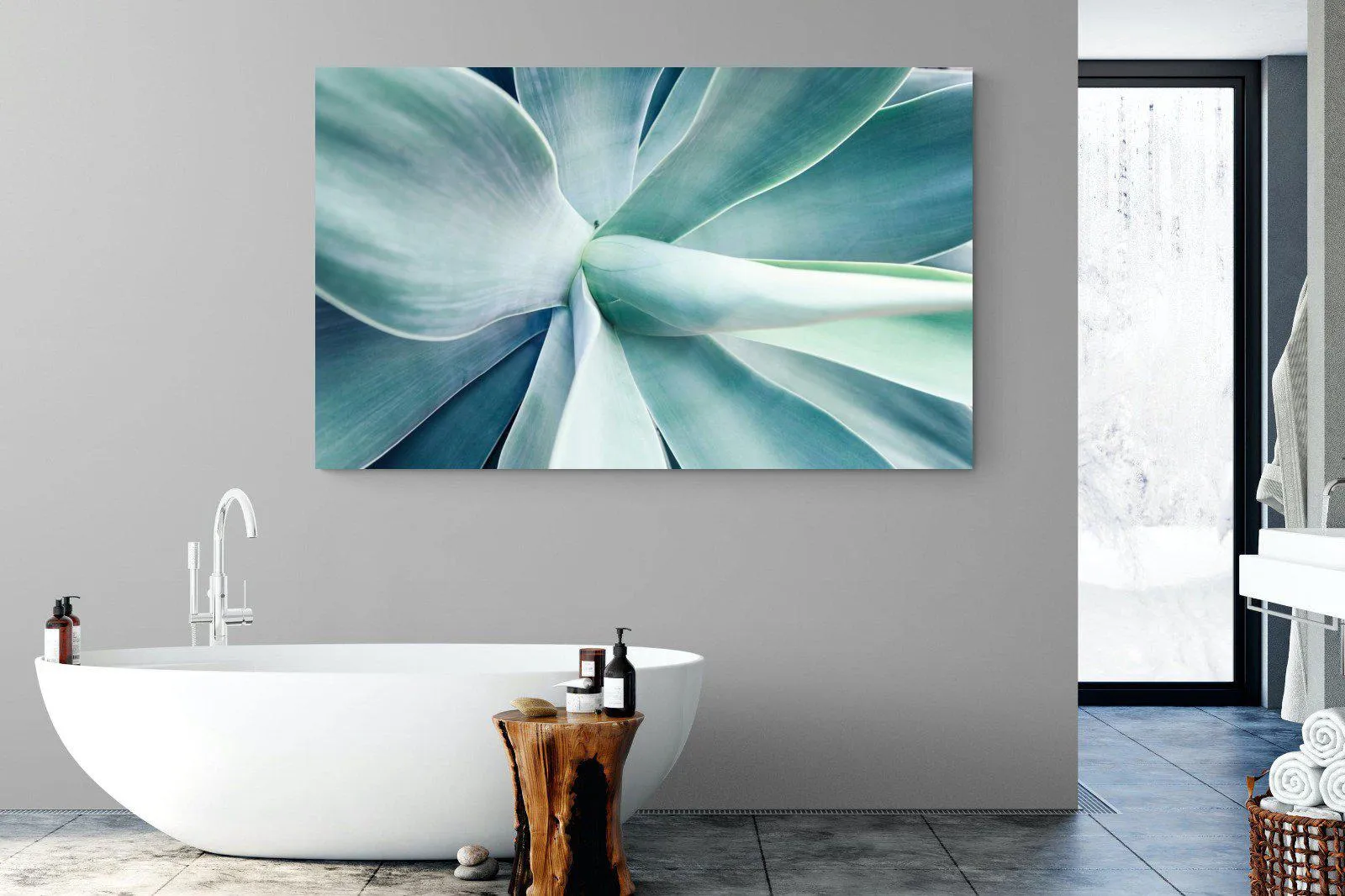 Agave