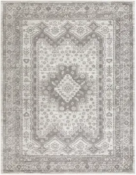 Dgarlac Transitional Area Rug